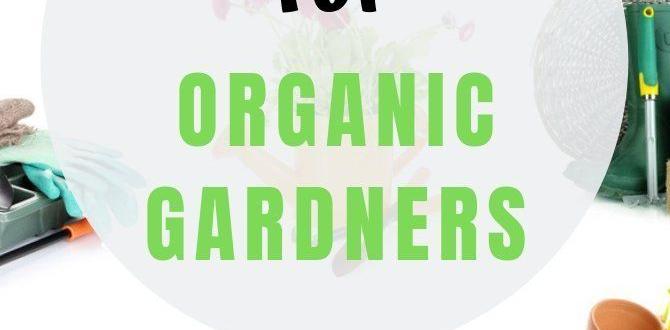Ecofriendly gardening gifts gift guide for gardeners Ecofriendly gardening gifts gift guide for gardeners