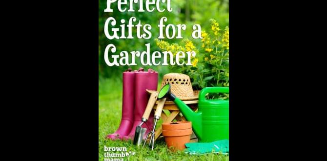 Ecofriendly gifts for ecoconscious gardeners gifts for a gardener Ecofriendly gifts for ecoconscious gardeners gifts for a gardener