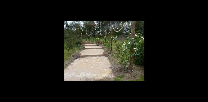 Ecofriendly options for gardening ropes rope for gardening