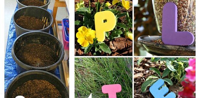 Educational aspects of gardening gardening activities for adults Educational aspects of gardening gardening activities for adults