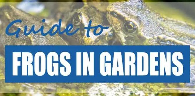 Educational opportunities: teaching kids about frogs are frogs good for gardens Educational opportunities: teaching kids about frogs are frogs good for gardens