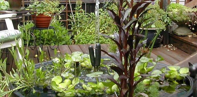 Effective watering techniques best gardening tips Effective watering techniques best gardening tips