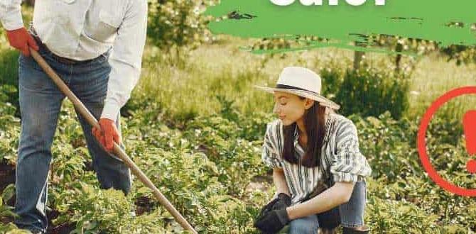 Effectiveness against pests is sevin dust safe for gardens Effectiveness against pests is sevin dust safe for gardens