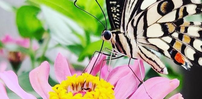 Emotional wellbeing why gardening is good for you