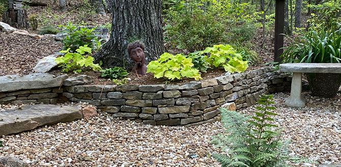 Emphasizing focal points with color color schemes for gardens