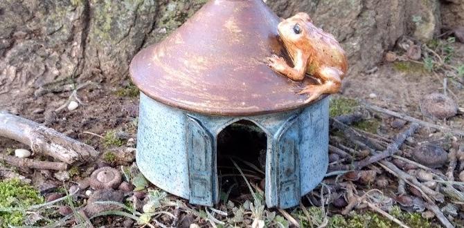 Encouraging toads to take up residence toad houses for gardens Encouraging toads to take up residence toad houses for gardens