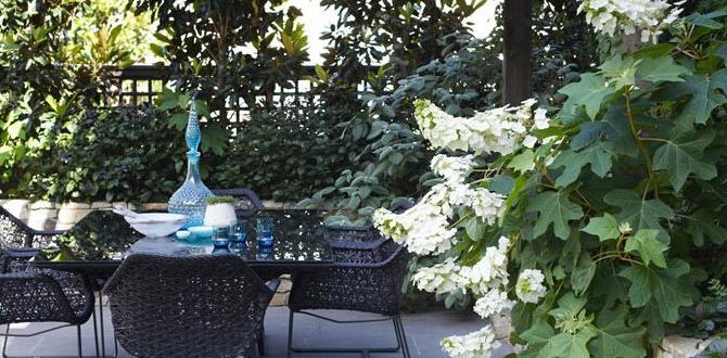 Enhancing privacy and aesthetics designs for small gardens