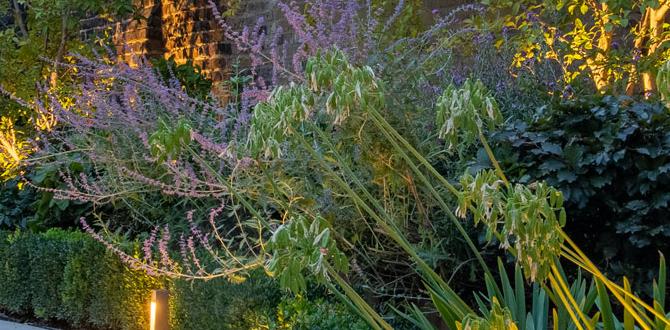 Enhancing with lighting ideas for small terraced gardens Enhancing with lighting ideas for small terraced gardens