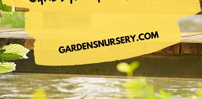 Enhancing your garden aesthetics building boxes for vegetable gardens Enhancing your garden aesthetics building boxes for vegetable gardens