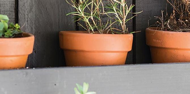 Enhancing your garden fence with plants fencing for gardens ideas Enhancing your garden fence with plants fencing for gardens ideas
