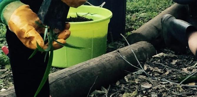 Environmental and sustainability grants grants for gardens Environmental and sustainability grants grants for gardens