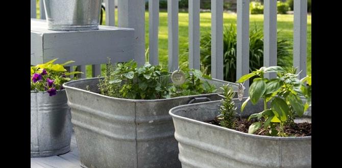 Environmental considerations and sustainability metal tubs for gardening Environmental considerations and sustainability metal tubs for gardening
