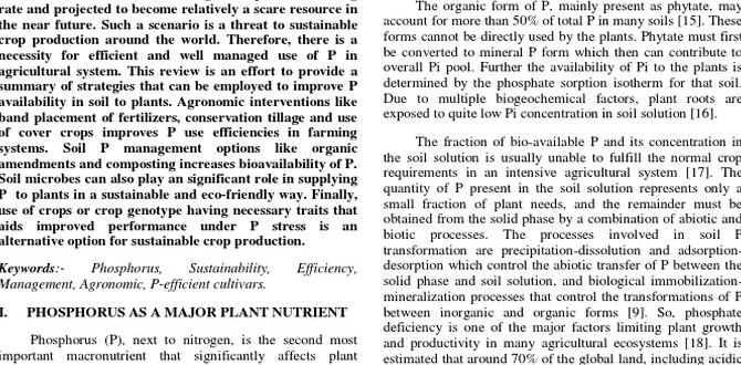 Environmental considerations and sustainable practices phosphorus for gardening
