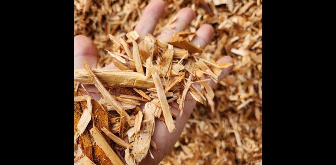 Environmental considerations are cedar chips good for gardens Environmental considerations are cedar chips good for gardens