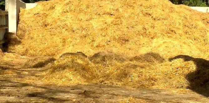 Environmental considerations horse manure for gardens Environmental considerations horse manure for gardens