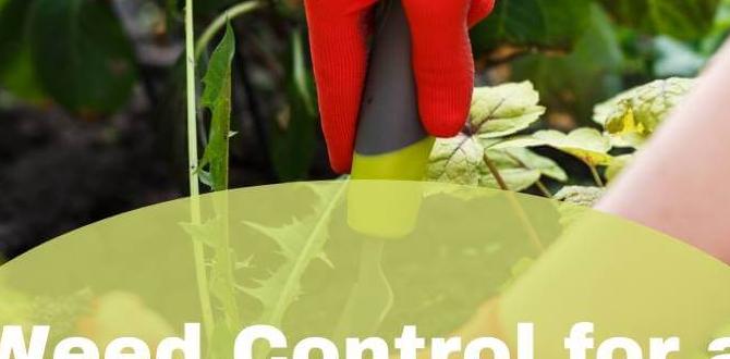 Environmental considerations weed and feed for gardens Environmental considerations weed and feed for gardens