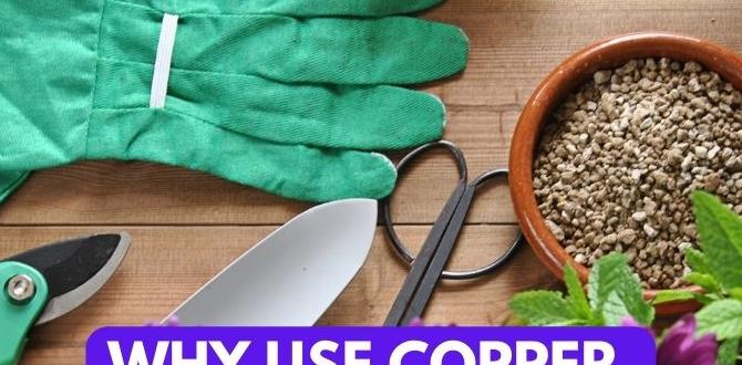 Environmental impact of copper use in gardening copper for gardening Environmental impact of copper use in gardening copper for gardening