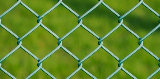 Environmental impact of decorative wire fencing decorative wire fencing for gardens Environmental impact of decorative wire fencing decorative wire fencing for gardens