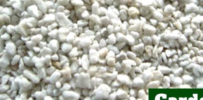 Environmental impact of perlite mining perlite for gardening Environmental impact of perlite mining perlite for gardening