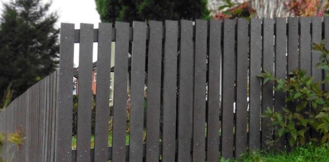 Environmental impact of plastic fencing plastic fencing for gardens Environmental impact of plastic fencing plastic fencing for gardens