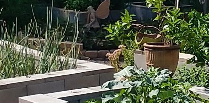 Environmental impact of using concrete blocks concrete blocks for raised gardens Environmental impact of using concrete blocks concrete blocks for raised gardens