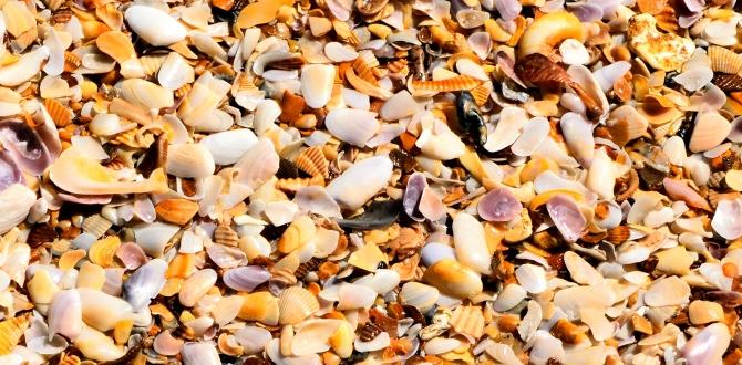 Environmental impact of using crushed seashells crushed seashells for gardening Environmental impact of using crushed seashells crushed seashells for gardening