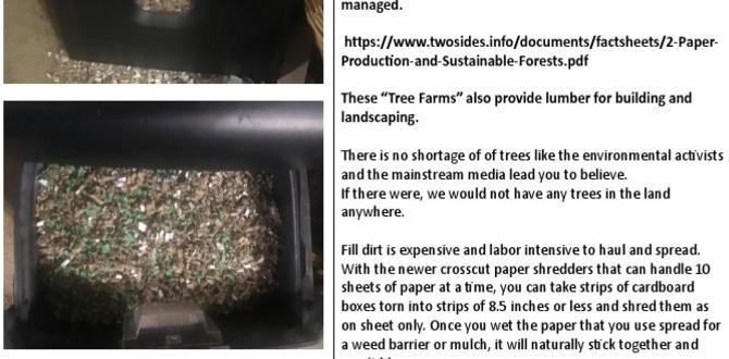 Environmental impact of using shredded paper is shredded paper good for gardens Environmental impact of using shredded paper is shredded paper good for gardens