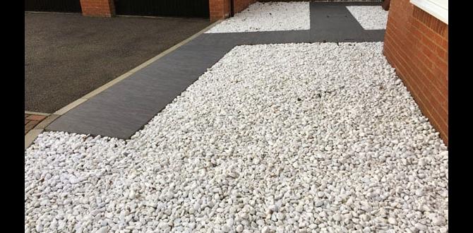 Environmental impact of using white gravel white gravel for gardens