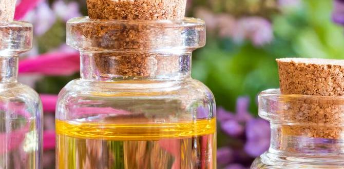 Essential herbs for beginners best ideas for herb gardens