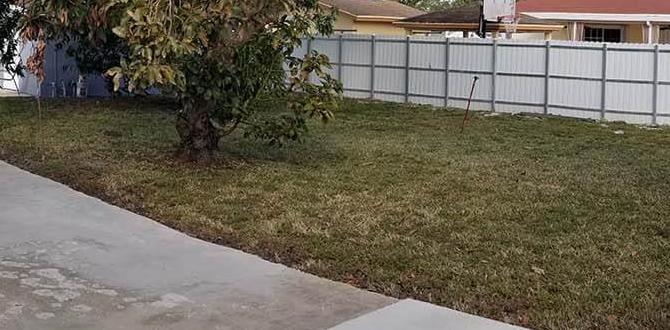 Evaluating property efficiency efficiency for rent in miami gardens $500 Evaluating property efficiency efficiency for rent in miami gardens $500
