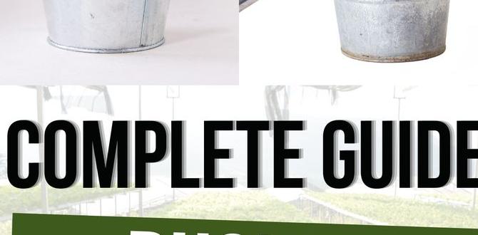 Expanding your bucket gardening skills bucket gardening for beginners Expanding your bucket gardening skills bucket gardening for beginners