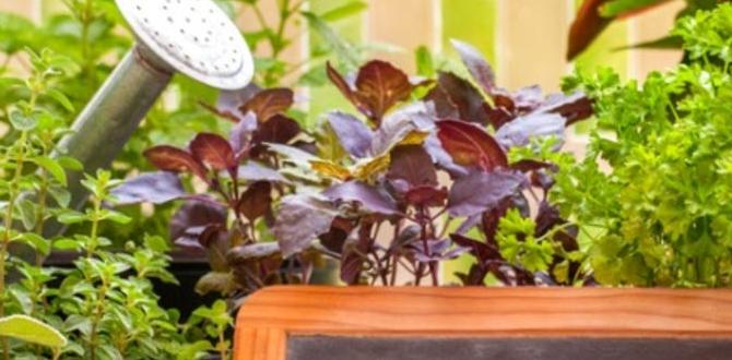 Expanding your herb garden: advanced techniques gardening herbs for beginners