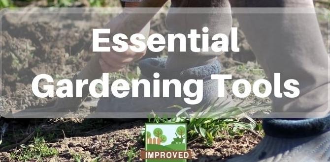 Expert recommendations and best products buckets for gardening Expert recommendations and best products buckets for gardening