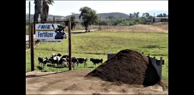 Expert tips for maximizing cow manure benefits is cow manure good for gardens Expert tips for maximizing cow manure benefits is cow manure good for gardens
