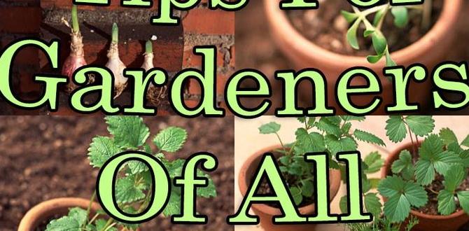 Expert tips from seasoned gardeners bolo for gardening Expert tips from seasoned gardeners bolo for gardening