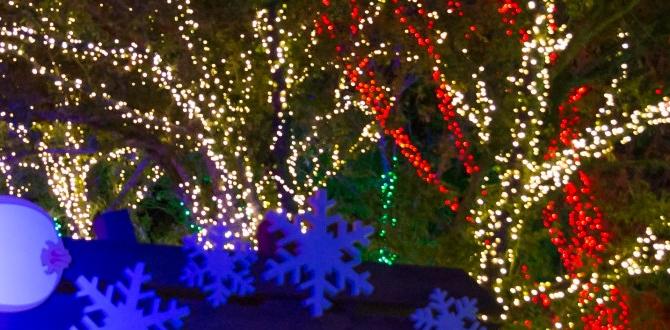 Factors that may affect operating hours busch gardens hours for christmas town Factors that may affect operating hours busch gardens hours for christmas town