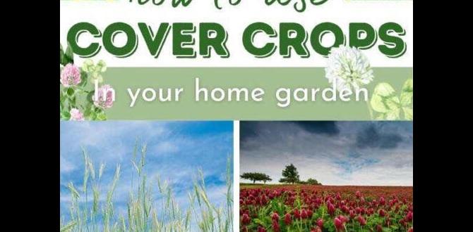 Factors to consider when choosing a garden cover cover for gardens Factors to consider when choosing a garden cover cover for gardens