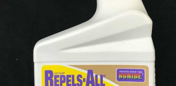 Factors to consider when choosing an animal repellent spray animal repellent spray for gardens Factors to consider when choosing an animal repellent spray animal repellent spray for gardens