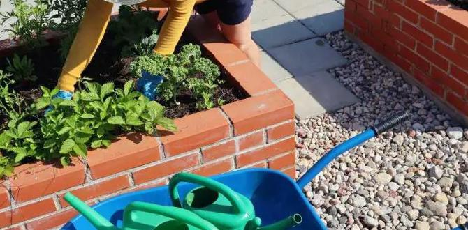 Factors to consider when choosing fertilizer best fertilizer for raised bed gardens Factors to consider when choosing fertilizer best fertilizer for raised bed gardens