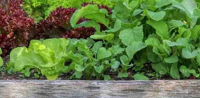 Factors to consider when choosing plants best plants for raised bed gardens