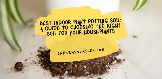 Factors to consider when choosing potting soil potting soil for gardens Factors to consider when choosing potting soil potting soil for gardens