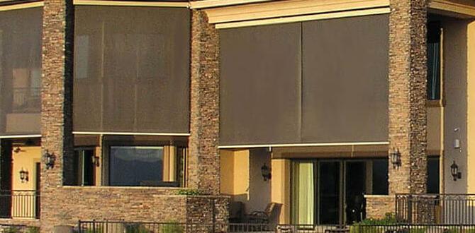 Factors to consider when choosing sun shades sun shades for gardens Factors to consider when choosing sun shades sun shades for gardens