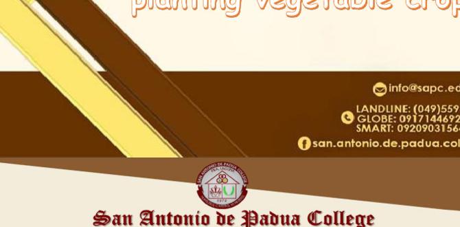 Factors to consider when selecting veggies veggies for gardens Factors to consider when selecting veggies veggies for gardens