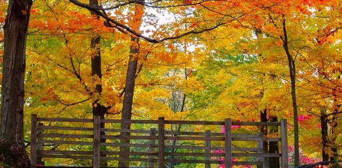 Fall foliage best time to visit biltmore gardens Fall foliage best time to visit biltmore gardens