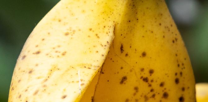 Faqs about banana peels in gardening are banana peels good for gardens