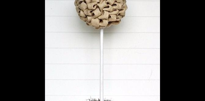 Faqs about burlap in gardening burlap for gardening