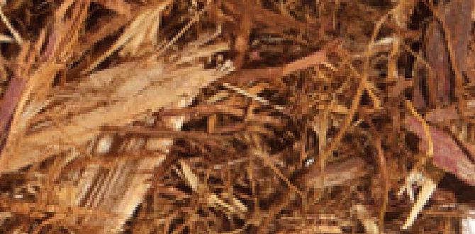 Faqs about cedar mulch is cedar mulch good for gardens Faqs about cedar mulch is cedar mulch good for gardens