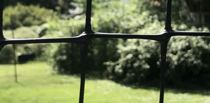 Faqs about deer fencing deer fence for gardens