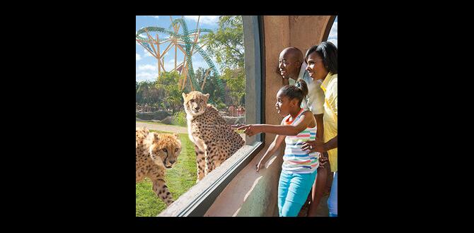Faqs about military tickets military tickets for busch gardens tampa Faqs about military tickets military tickets for busch gardens tampa
