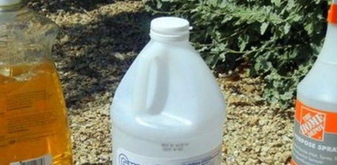 Faqs about natural weed killers natural weed killer for gardens Faqs about natural weed killers natural weed killer for gardens